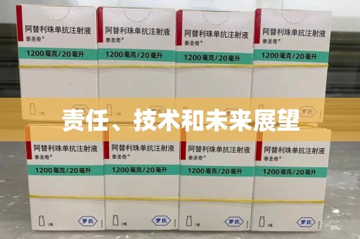 佛山责任、技术和未来展望