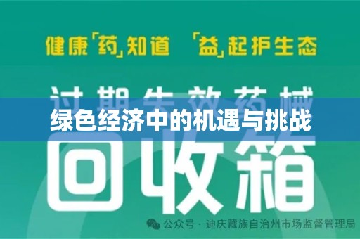 佛山绿色经济中的机遇与挑战