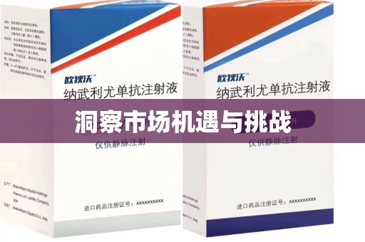 佛山洞察市场机遇与挑战